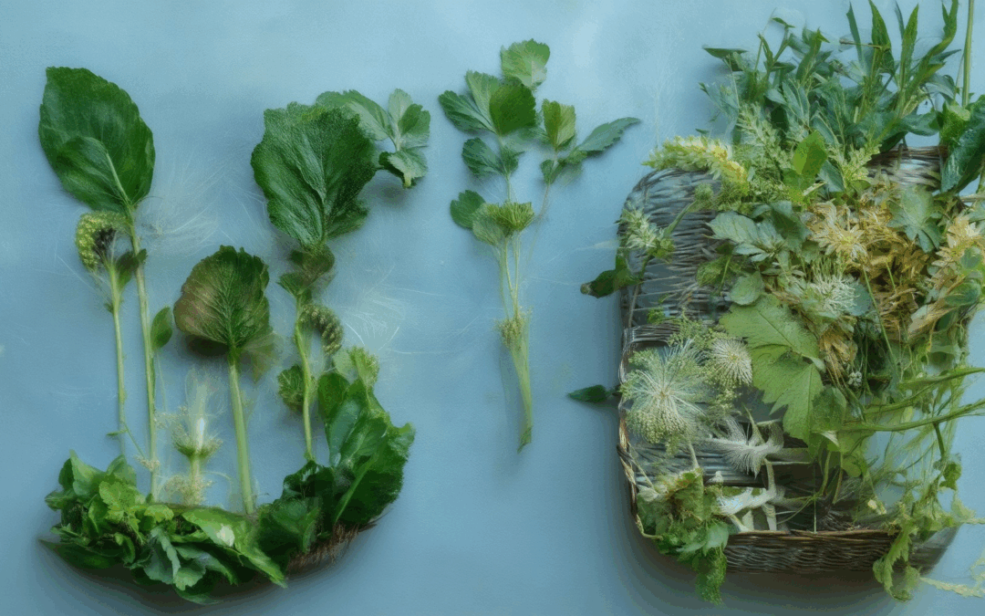 Pioneering Eco-Friendly Choices: How to Live Consciously and Make a Difference