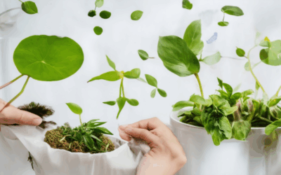 The Ultimate Sustainable Lifestyle Hacks: Tips for a Greener World