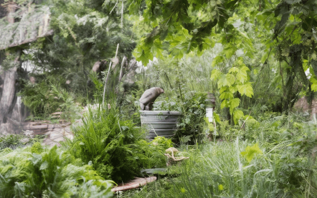 Essential Earth-Conscious Habits: Eco-Friendly Living for a Sustainable Future