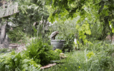 Essential Earth-Conscious Habits: Eco-Friendly Living for a Sustainable Future