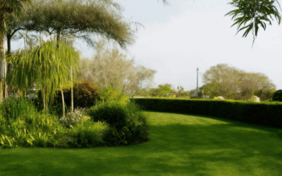 Green Landscaping Ideas: A Comprehensive Guide to Eco-Friendly and Attractive Outdoor Spaces