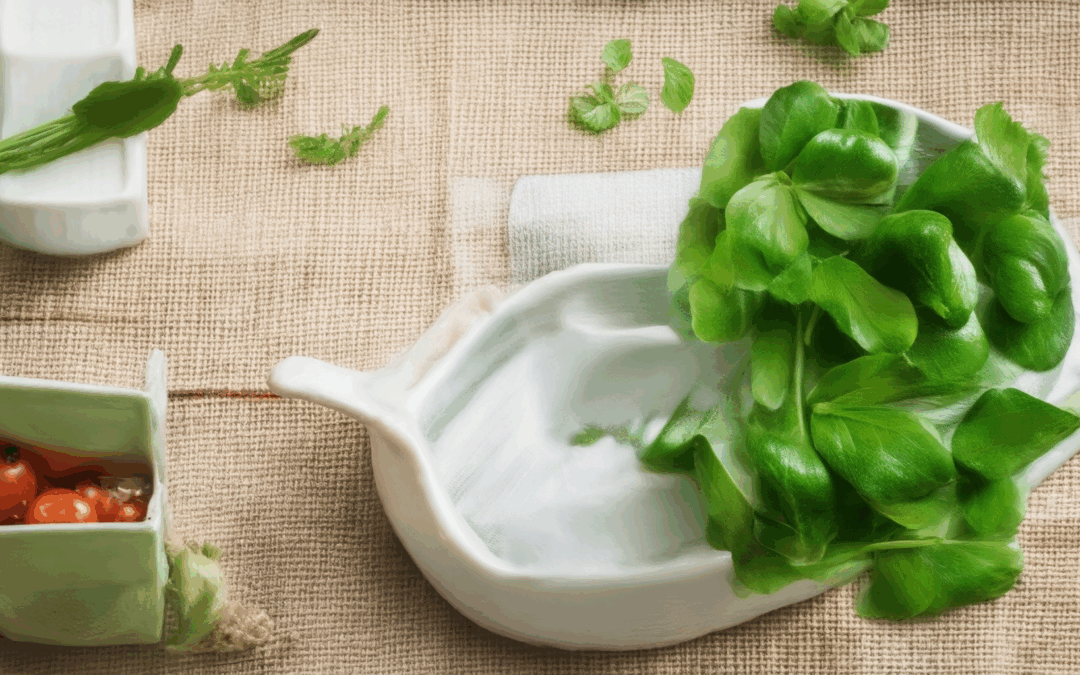 Igniting a Greener Lifestyle: Simple Steps to a Sustainable Daily Routine