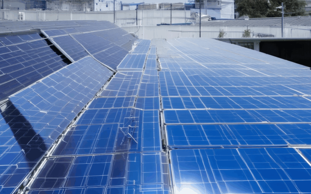 Understanding Renewable Energy Installations: Exploring Types, Costs, and the Most Promising Solutions, Including Green vs. Renewable Energy
