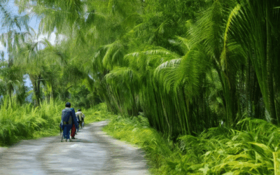 Empowering Travelers: The Path to a Greener Future – Understanding Sustainable Tourism