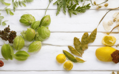 Eco-Friendly Seasonal Tips: Celebrate Every Season Sustainably and Make a Positive Impact