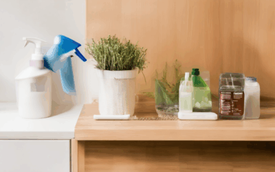 How to Create a Zero-Waste Cleaning Routine Tailored to Your Lifestyle