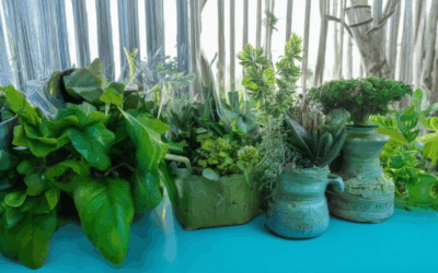 Transform Your Lifestyle with Expert Green Living Guides