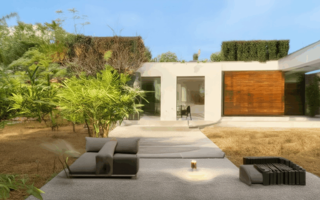 Igniting a Greener Lifestyle: Your Guide to Eco-Friendly Homes and Habits