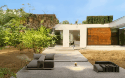 Igniting a Greener Lifestyle: Your Guide to Eco-Friendly Homes and Habits