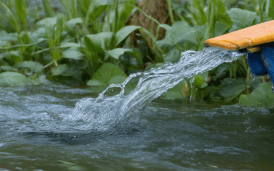Sustainable Water Conservation: Answers to Top Questions and Practical Solutions