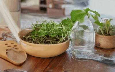 Transform Your Routine with Eco-Friendly Life Hacks