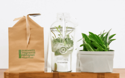 Unveiling the Best Zero Waste Home Products: Your Ultimate Guide